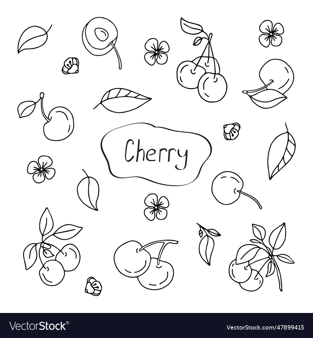 Hand drawn set cherry isolated on a white Vector Image