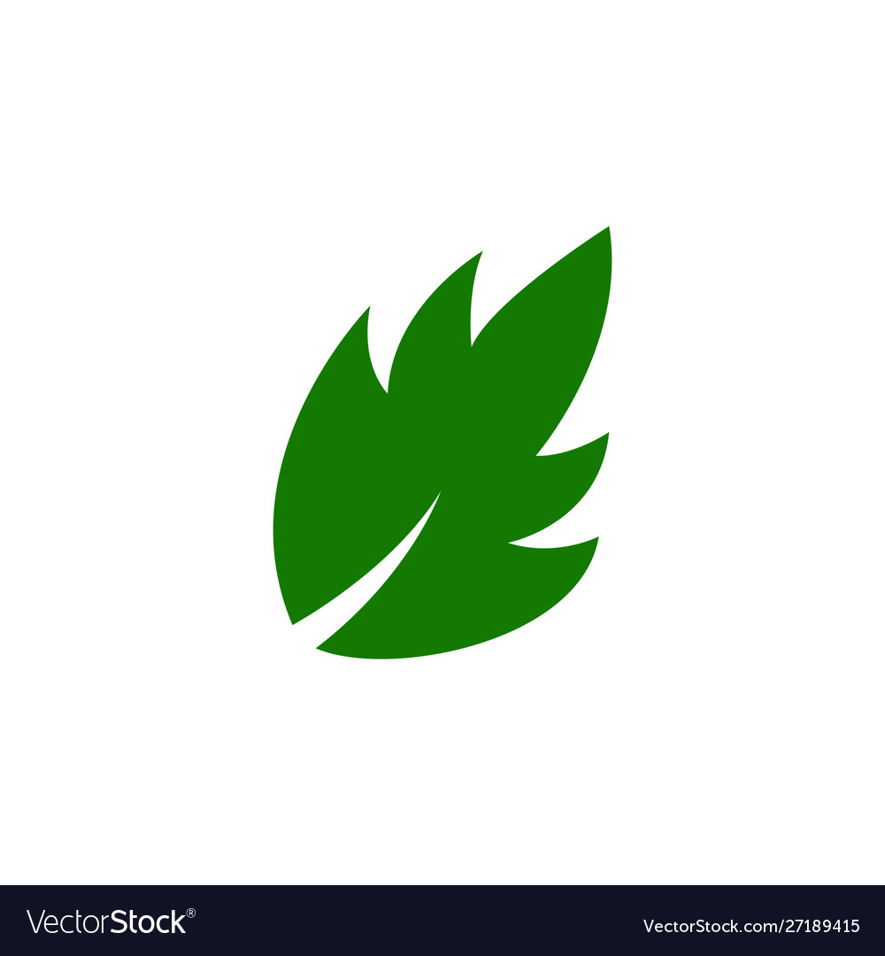 Leaf icons design leaves green concept isolated