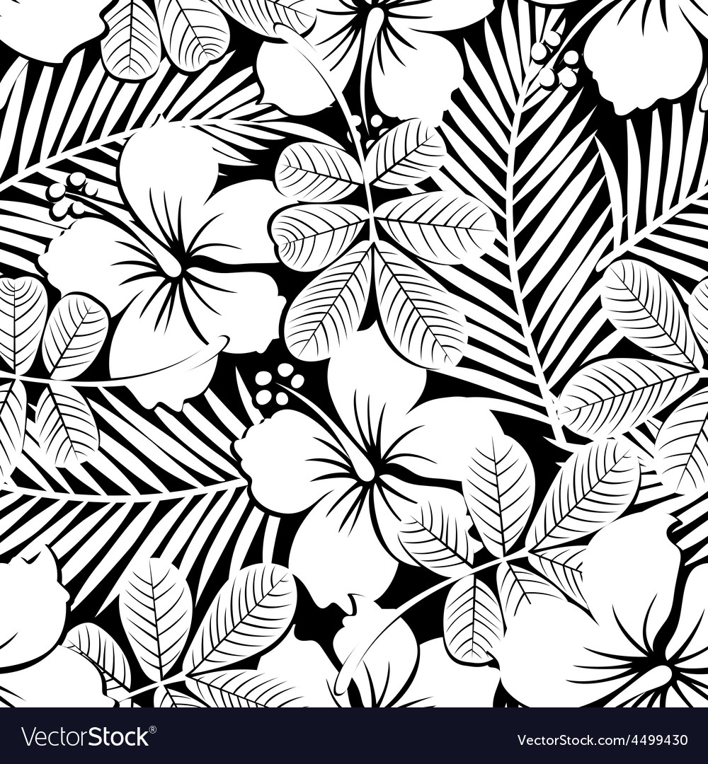 Black and white tropical hibiscus flowers and Vector Image