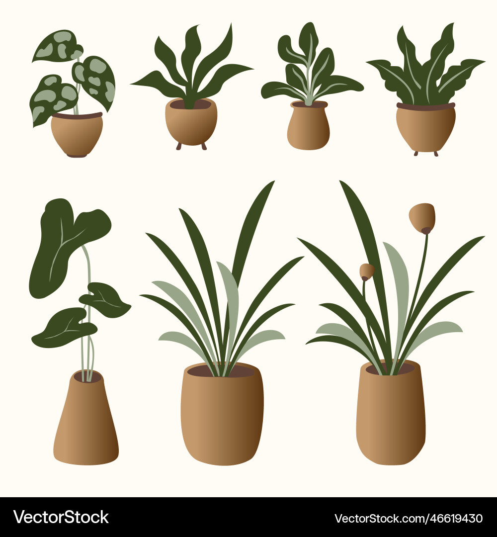 Brown plant and pot collection Royalty Free Vector Image