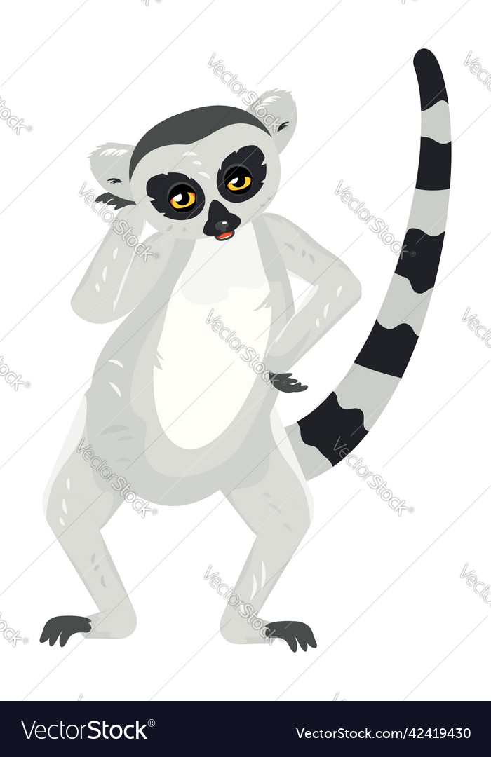 Cartoon lemur catta Royalty Free Vector Image - VectorStock