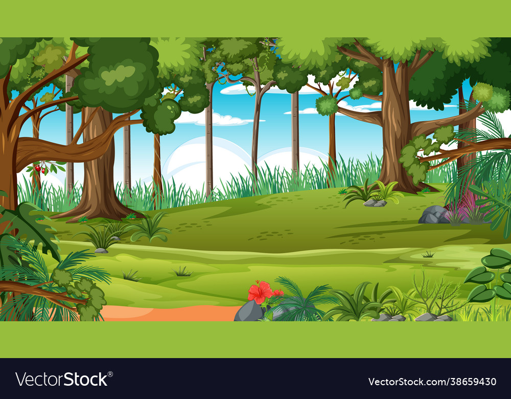 Forest scene with various trees Royalty Free Vector Image