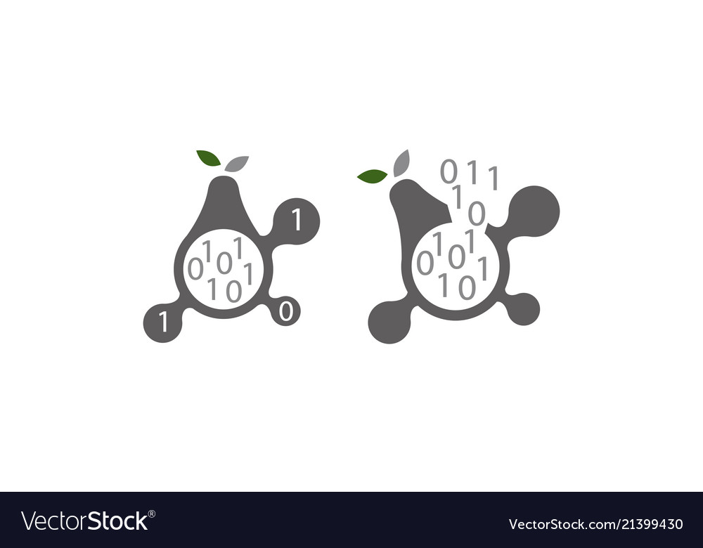 Pear program code connection set vector image Pear program code connection set