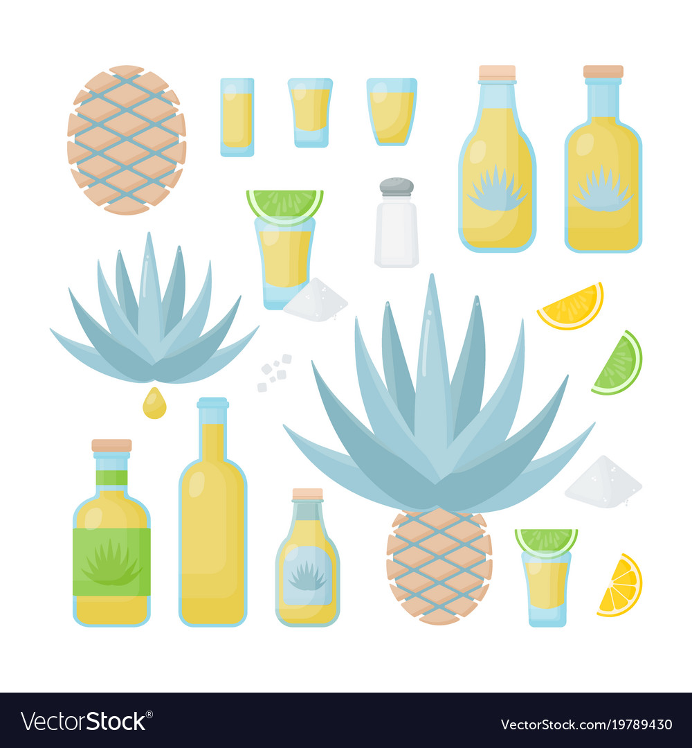 Tequila und blaue agave flache Ikone Set