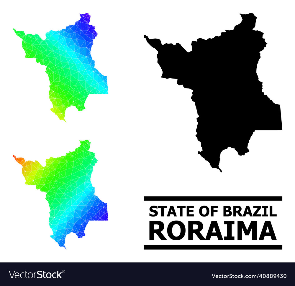 Triangle filled spectral colored map of roraima vector image Triangle filled spectral colored map of roraima