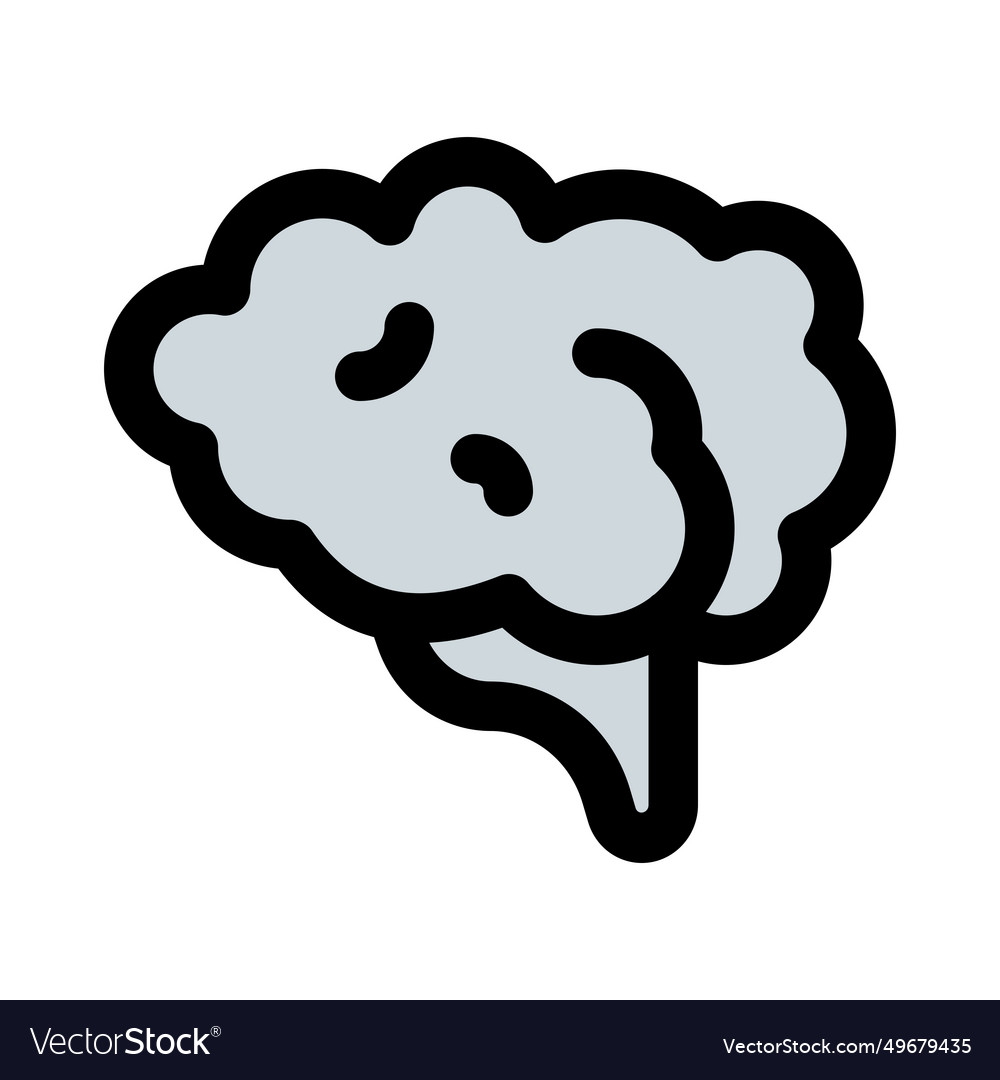 Brain one of the largest and most complex organs
