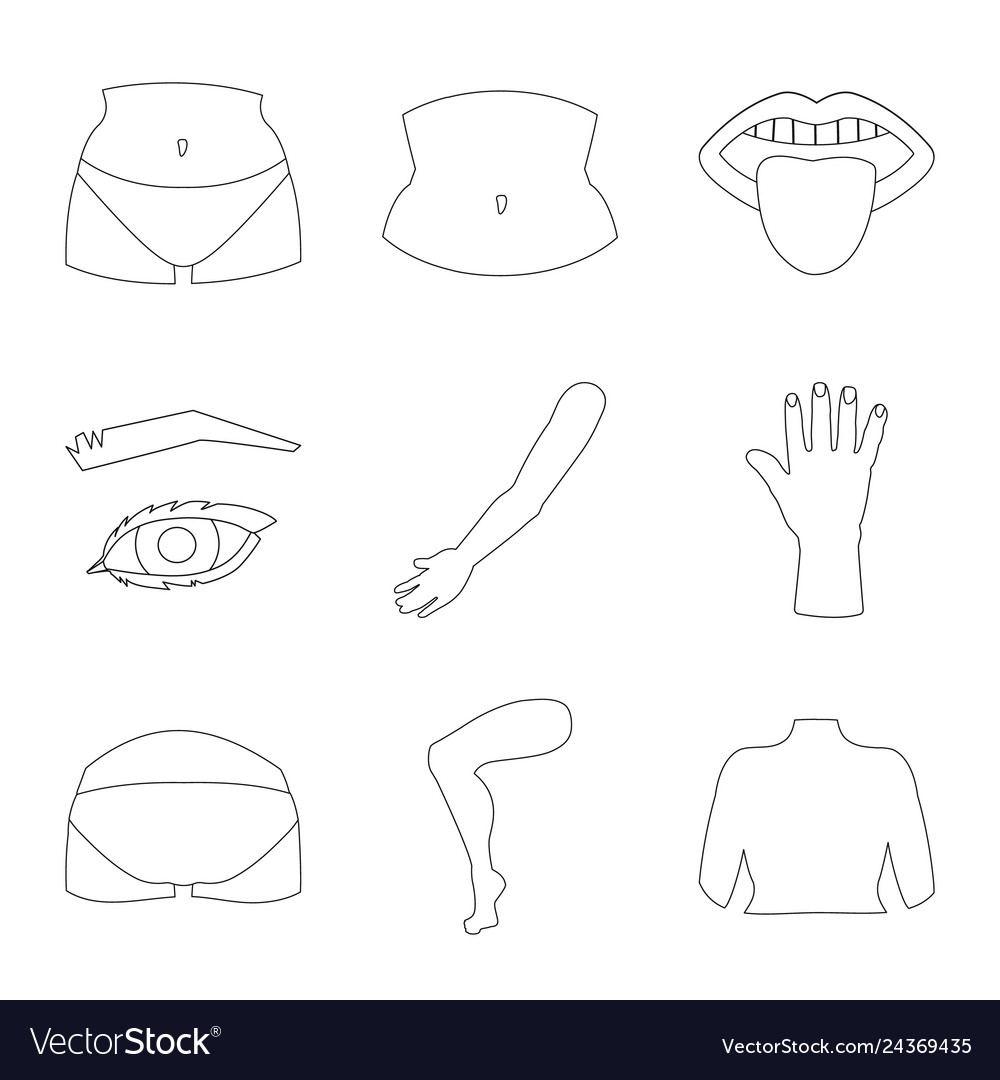 Design of body and part sign collection vector image Design of body and part sign collection
