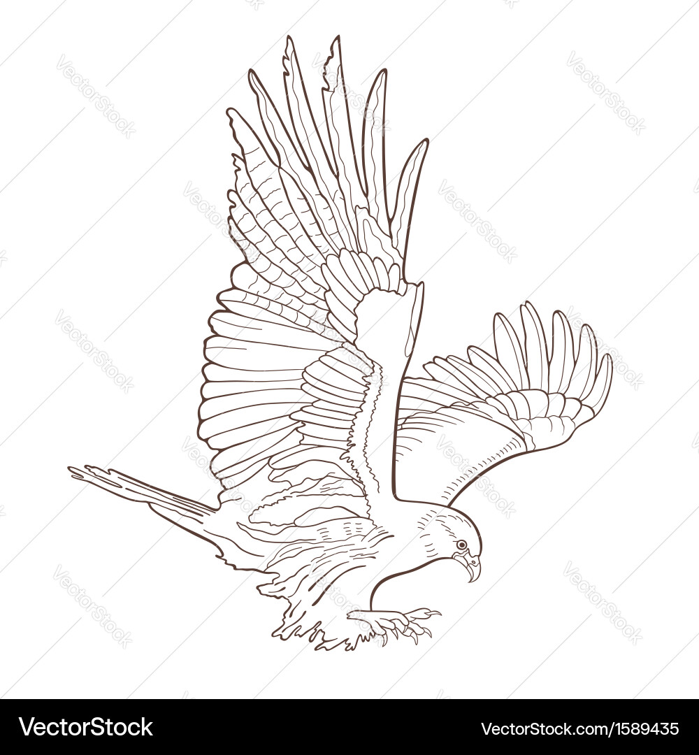 Eagle Royalty Free Vector Image - VectorStock