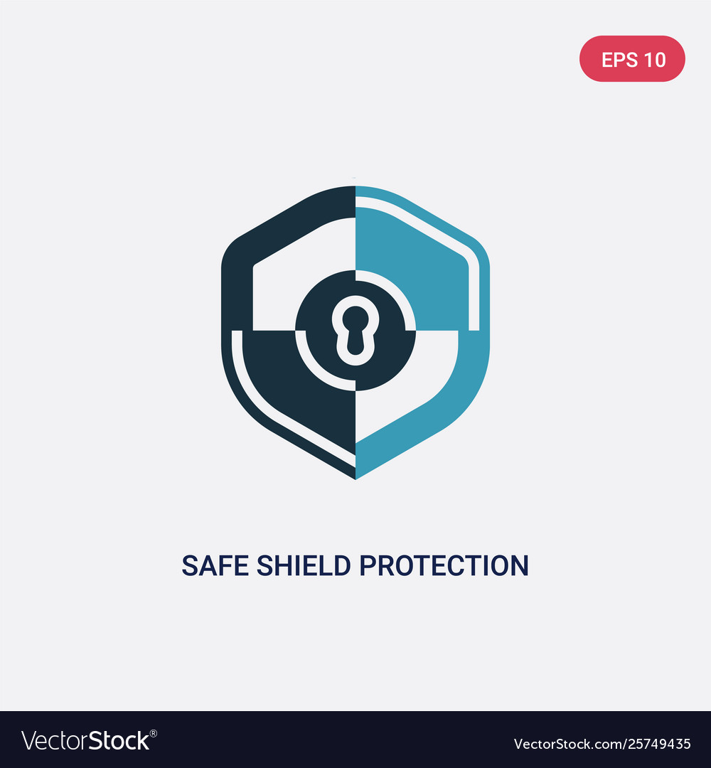 Two color safe shield protection icon from Vector Image