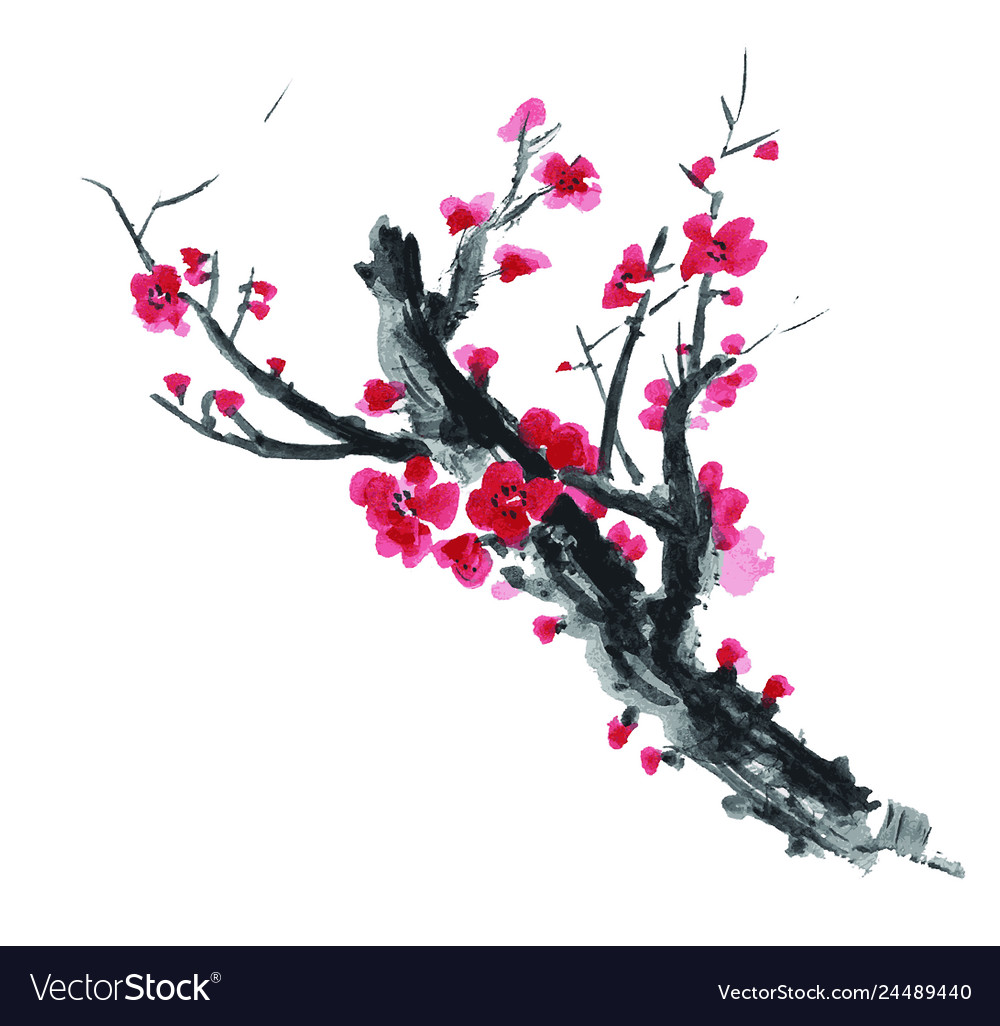 Realistic sakura blossom watercolor isolated vector image Realistic sakura blossom watercolor isolated