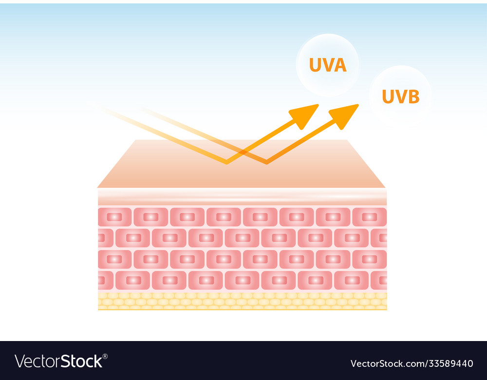 Uv reflection skin after protection design Vector Image