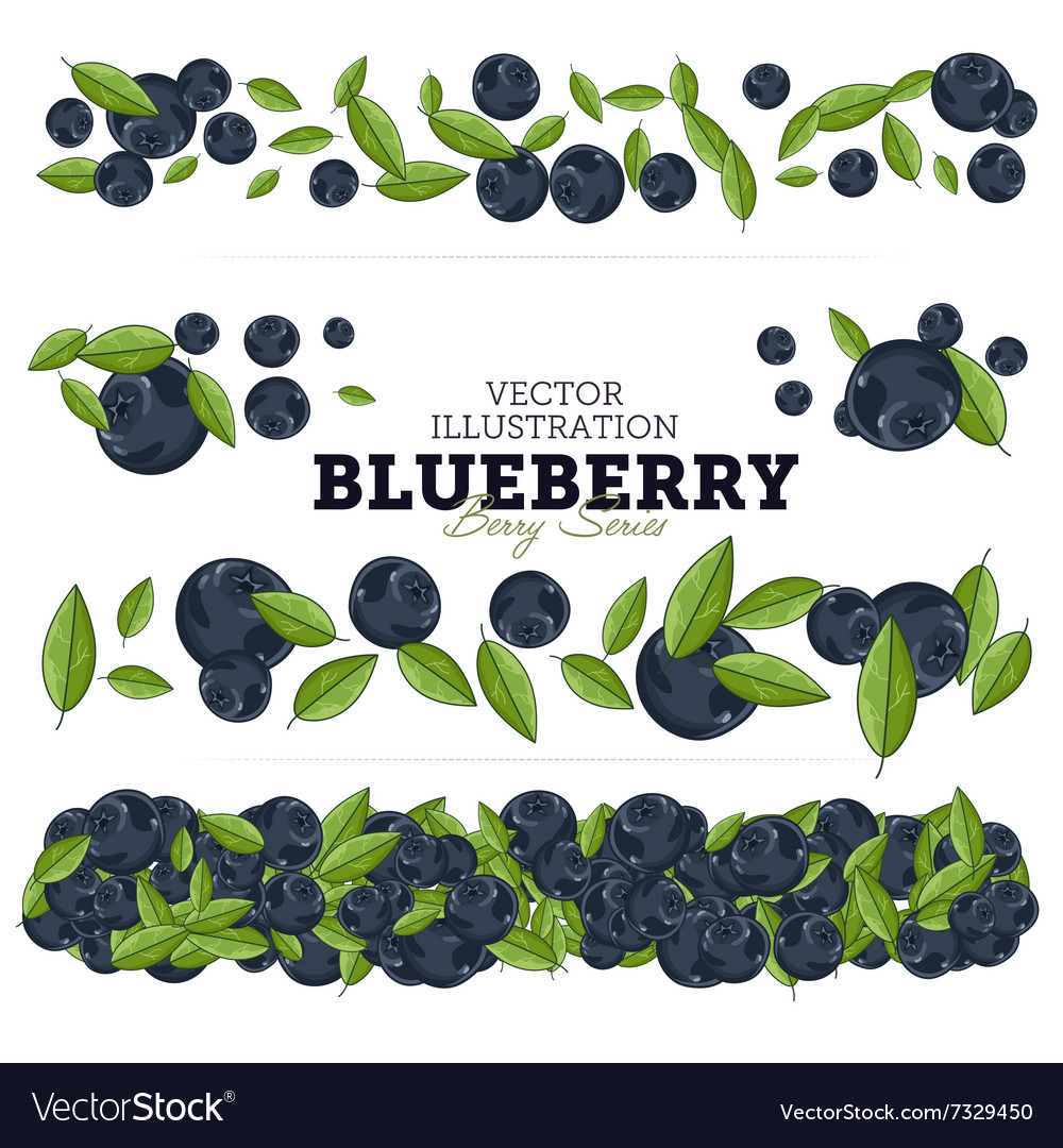 Blueberry set