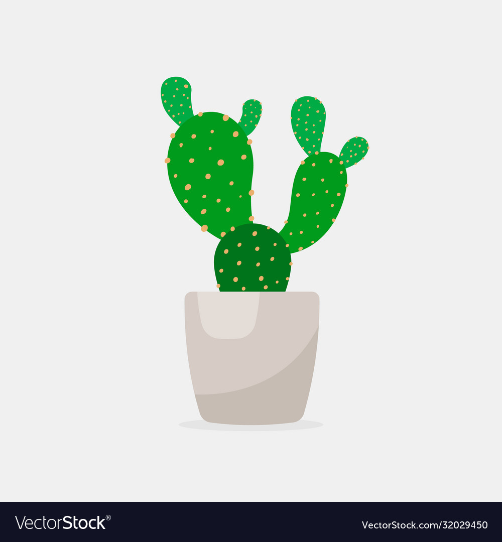 Cactus color flat icon for web and mobile vector image Cactus color flat icon for web and mobile
