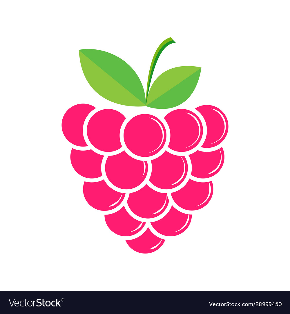 Raspberry berry flat style color image