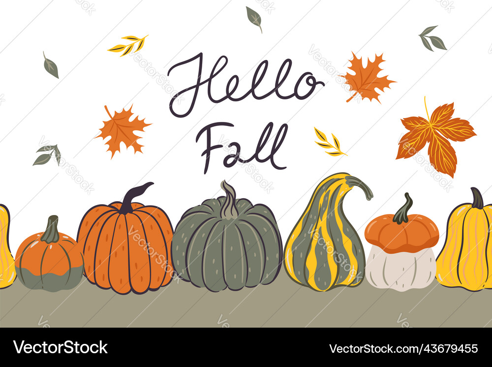 Autumn Card With Pumpkins On A White Background Vector Image