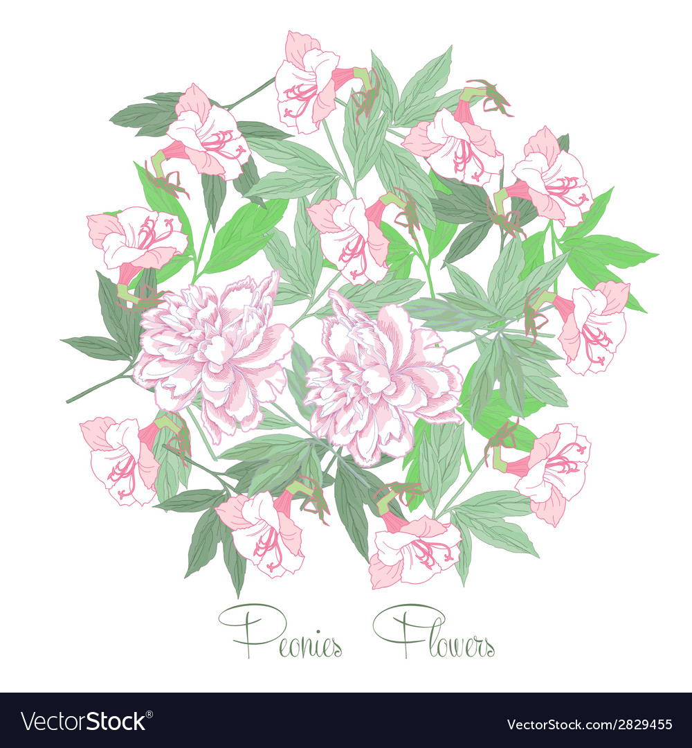 Flowers and white pink peonies