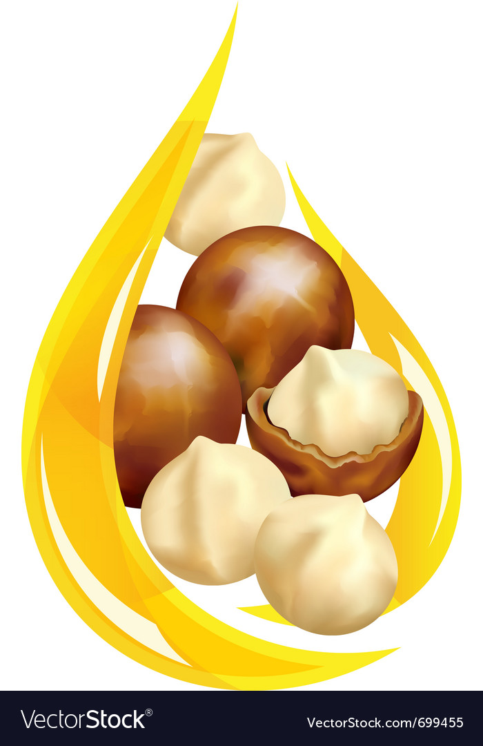 Macadamia oil