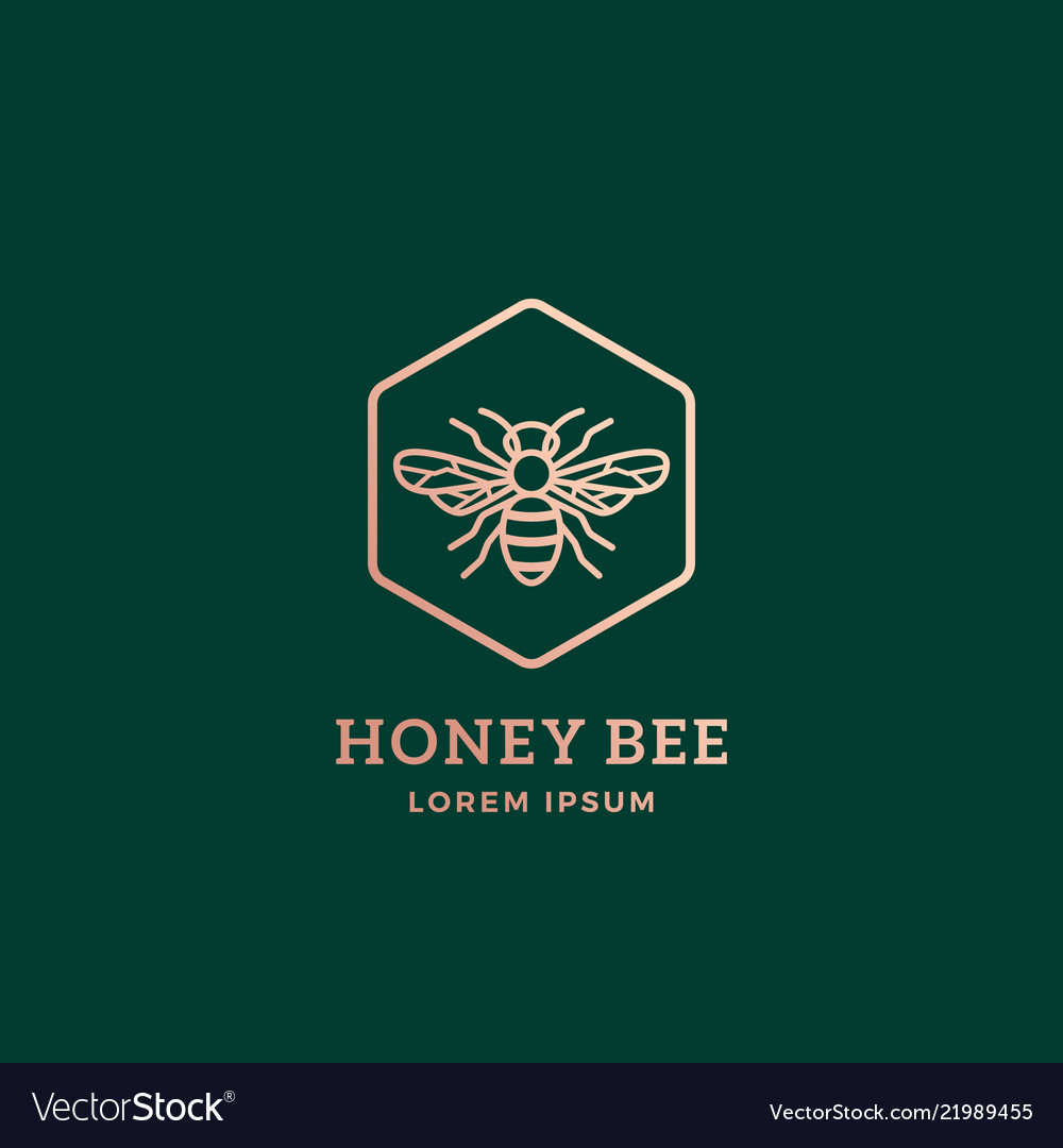 Premium honey bee abstract sign symbol Royalty Free Vector