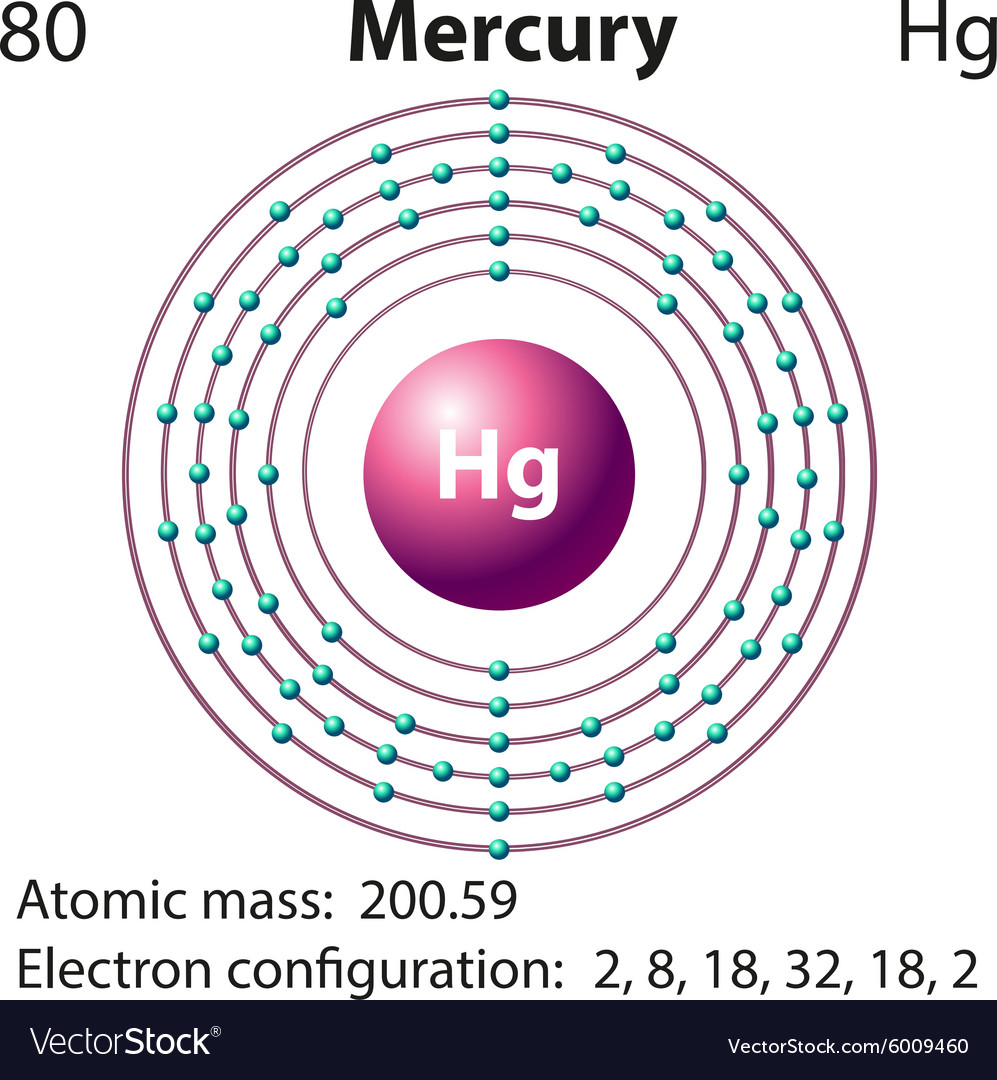 Diagram representation of the element mercury Vector Image