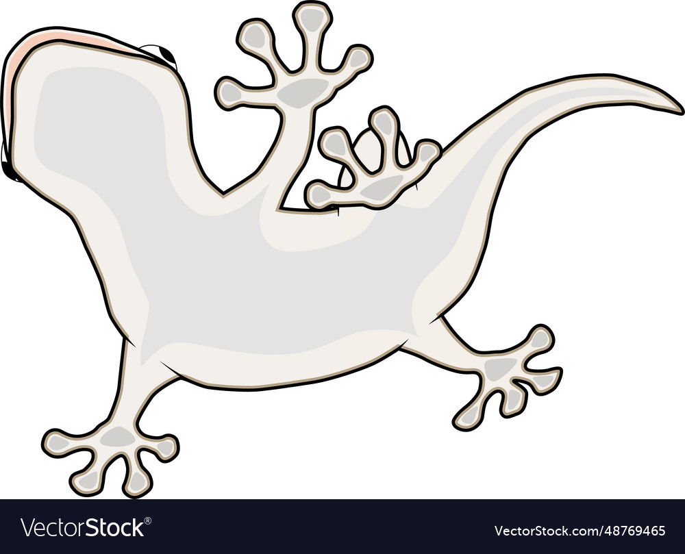 A lizard from the bottom side
