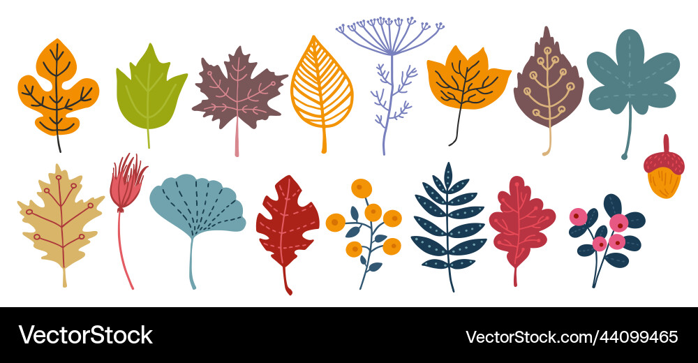 Autumn flowers hand drawn doodle fall nature Vector Image