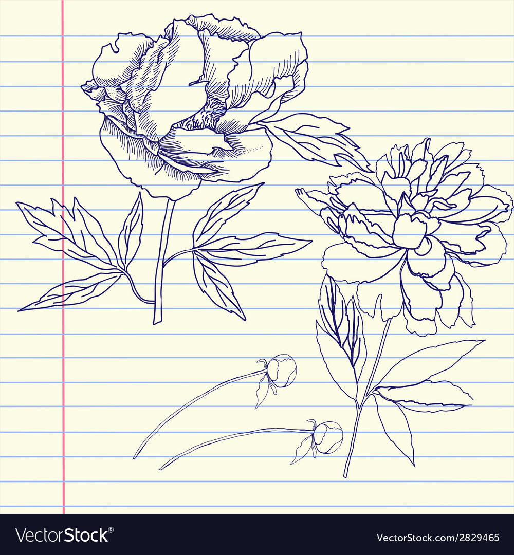 Notebook set with peonies