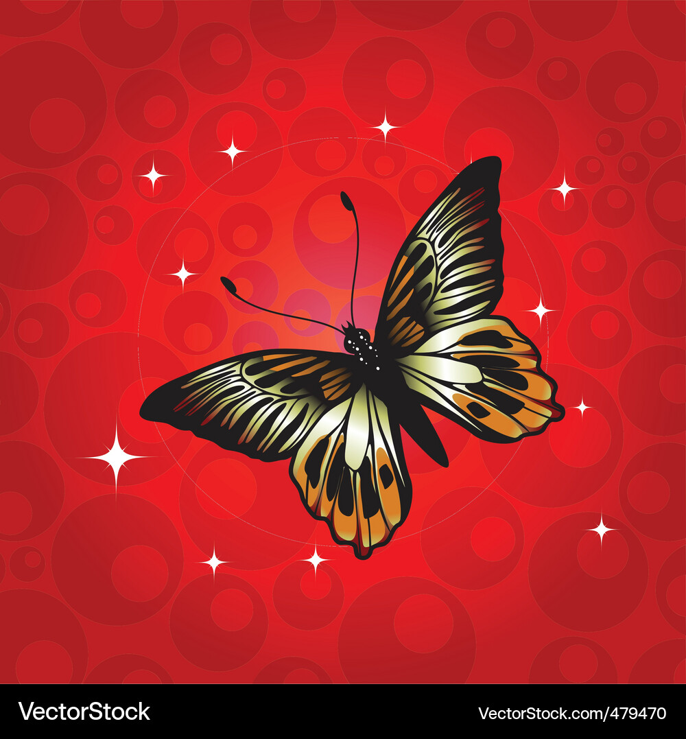 Butterfly Royalty Free Vector Image - VectorStock