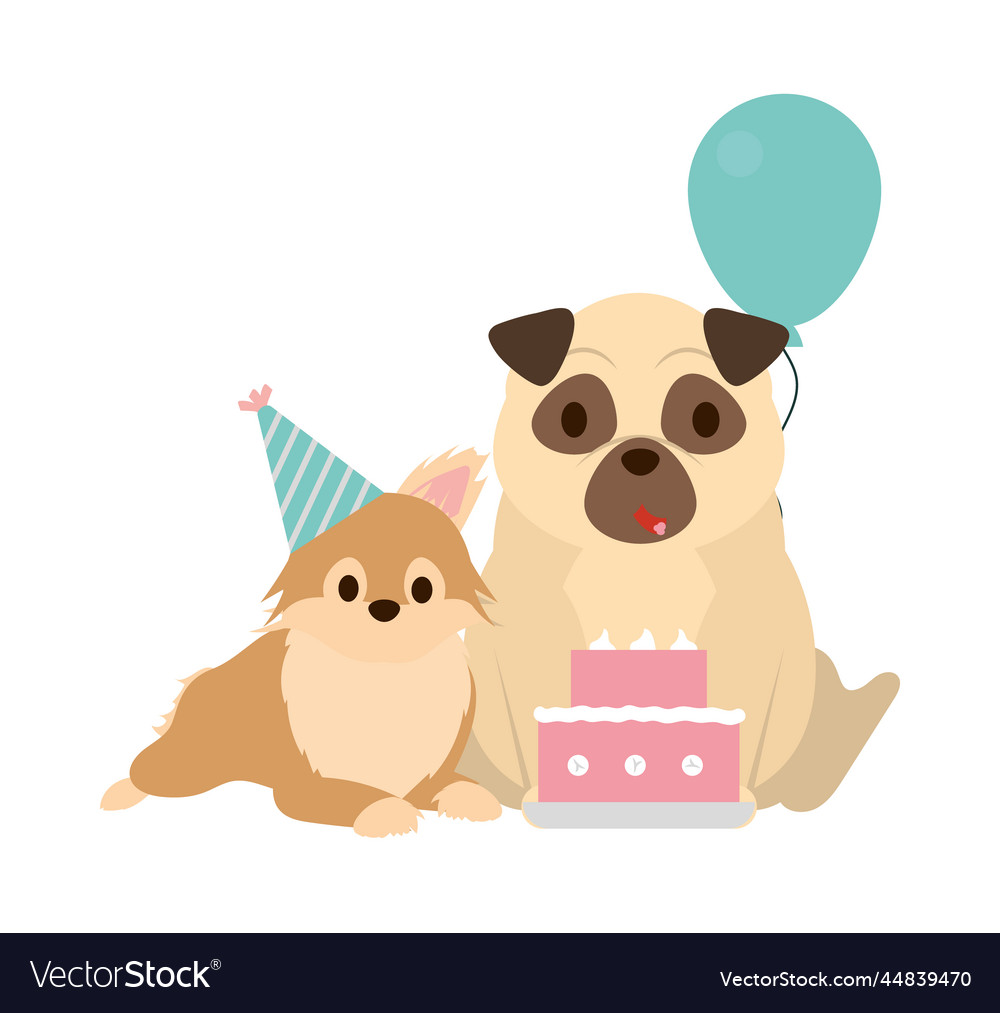 Cute dogs birthday design