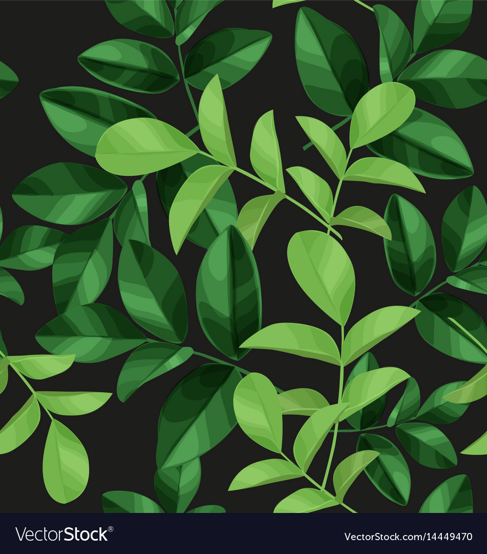 Leaf pattern background