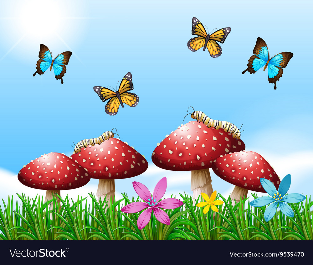Nature scene with butterflies in garden