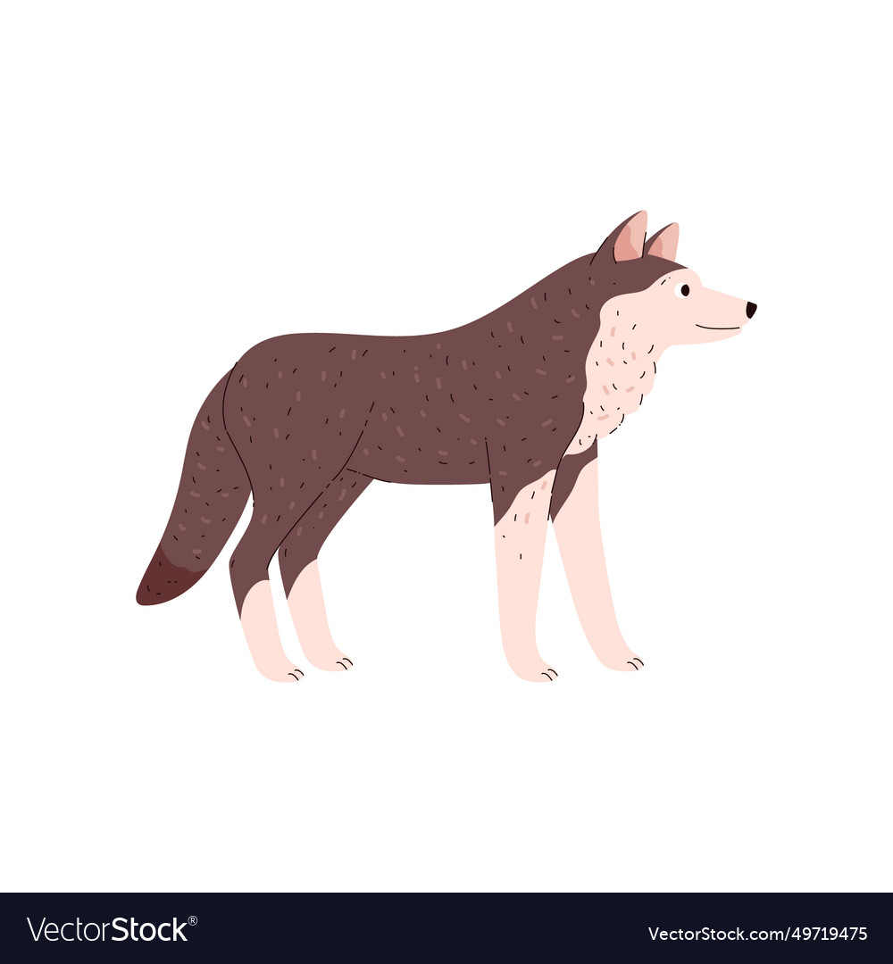 Cute standing wolf tundra animal side view flat