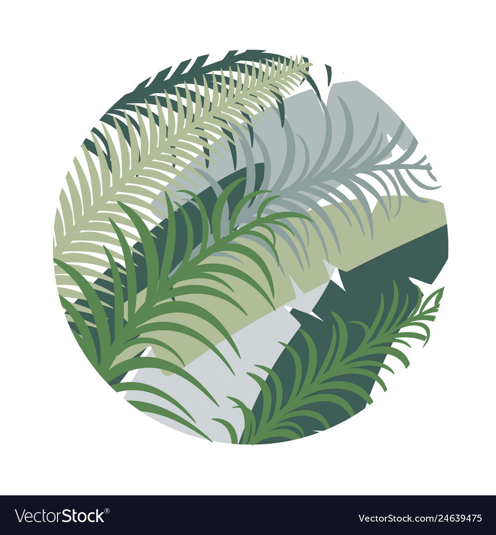 Round tropical background with palm leaves image