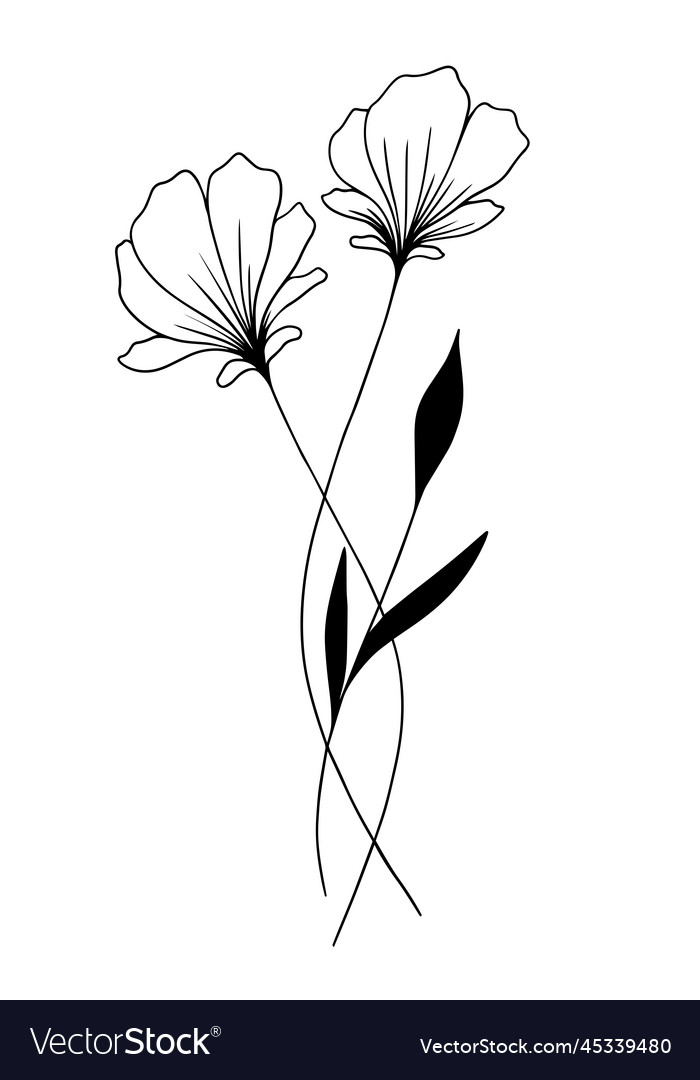 Flowers black and white Royalty Free Vector Image