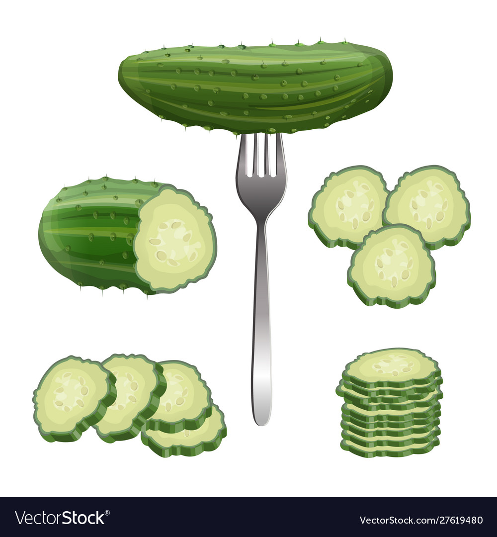 Fresh cucumber set in realistic style