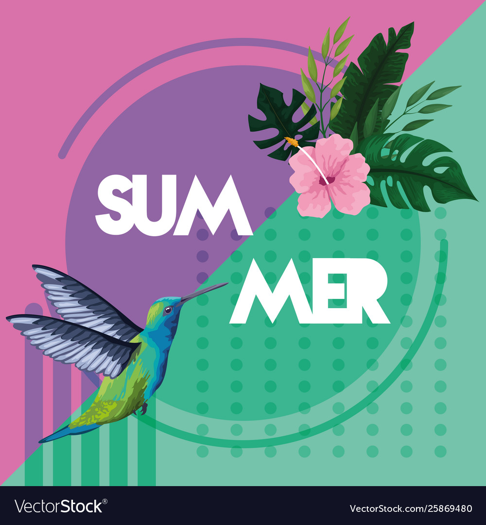 Hello summer poster card