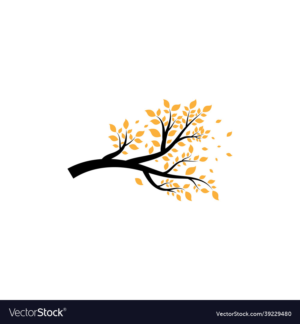 Sakura tree icon design template Royalty Free Vector Image