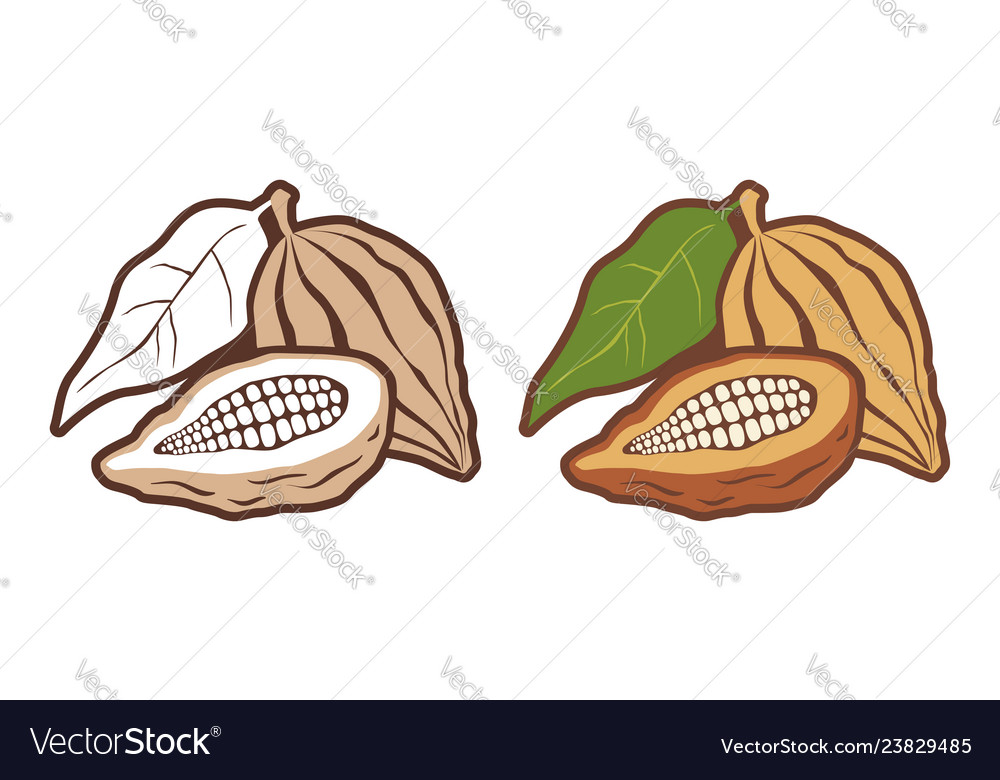 Cocoa Bean Icons Set