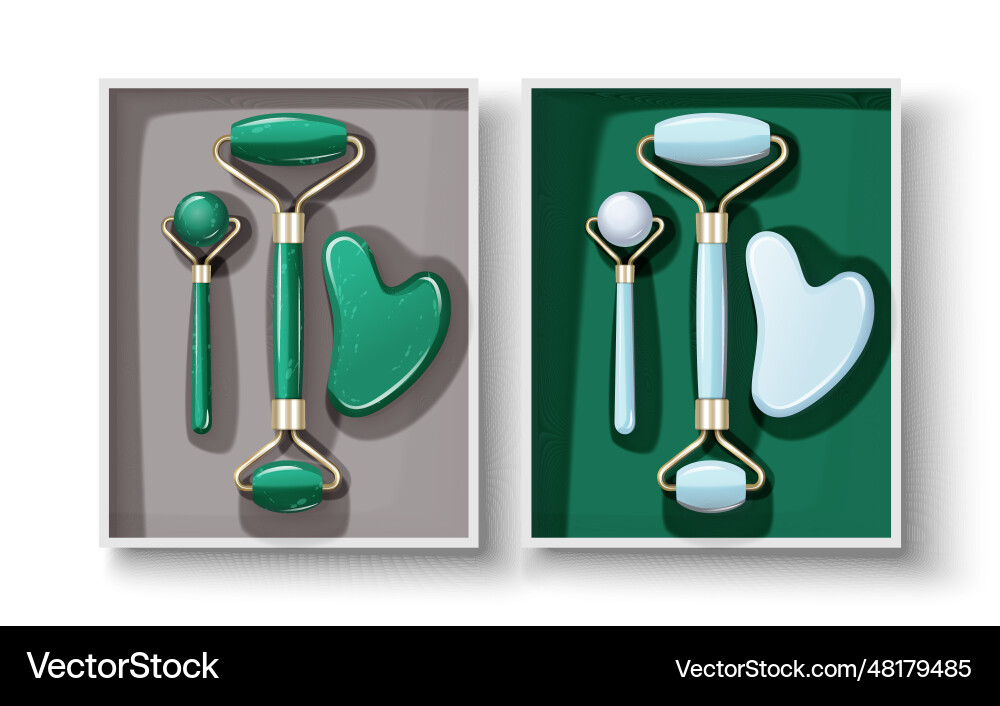 Facial massage gouache scraper and jade stone Vector Image