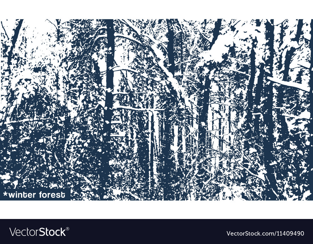 Landscape winter forest texture