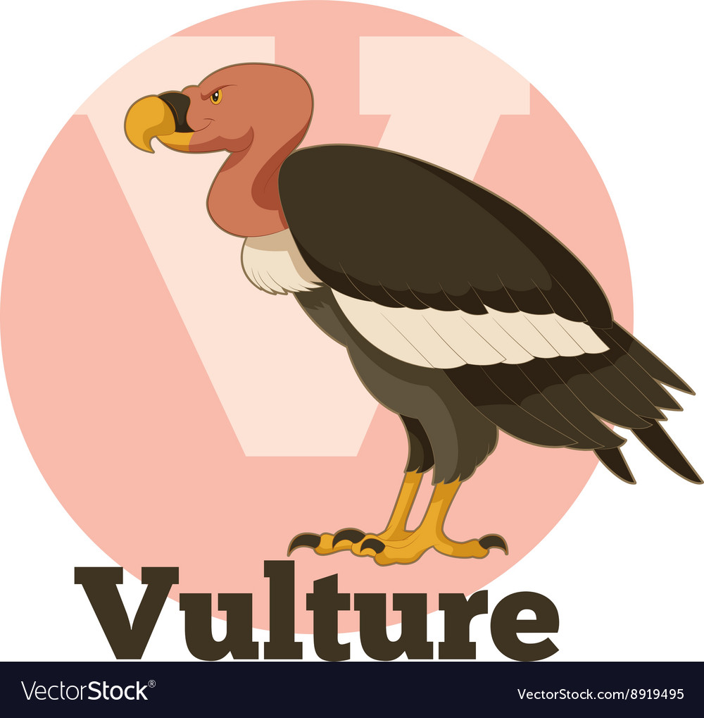 Abc cartoon vulture