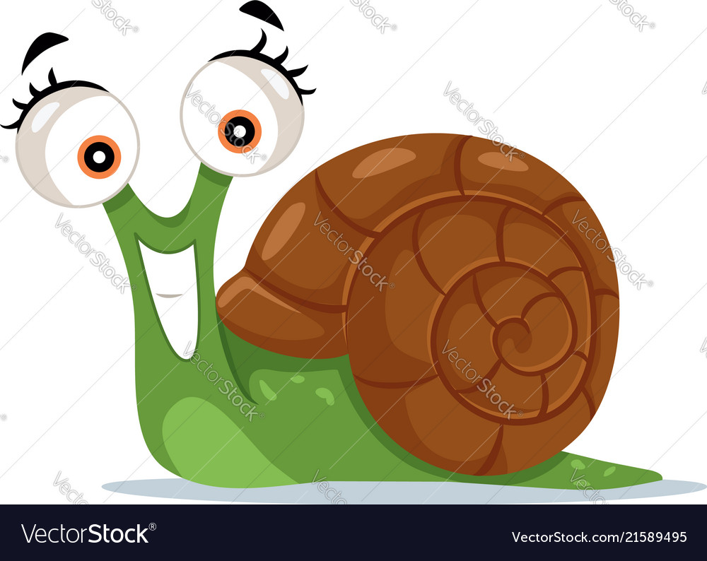 Cute snail cartoon Royalty Free Vector Image - VectorStock