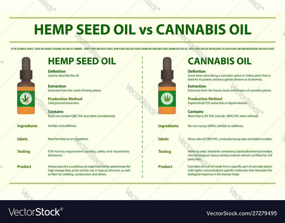 Hemp seed oil vs cannabis oil horizontal Vector Image