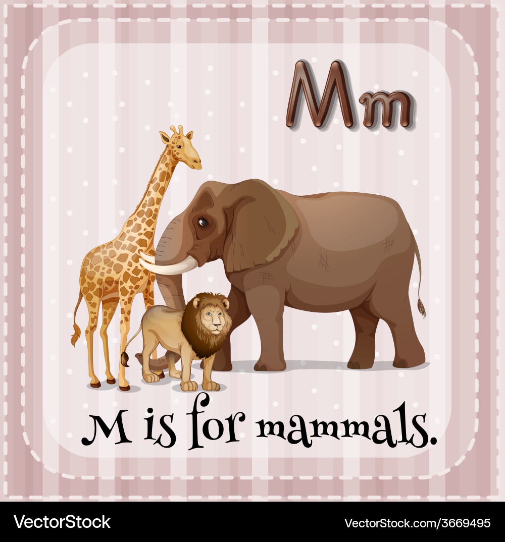 Letter m Royalty Free Vector Image - VectorStock