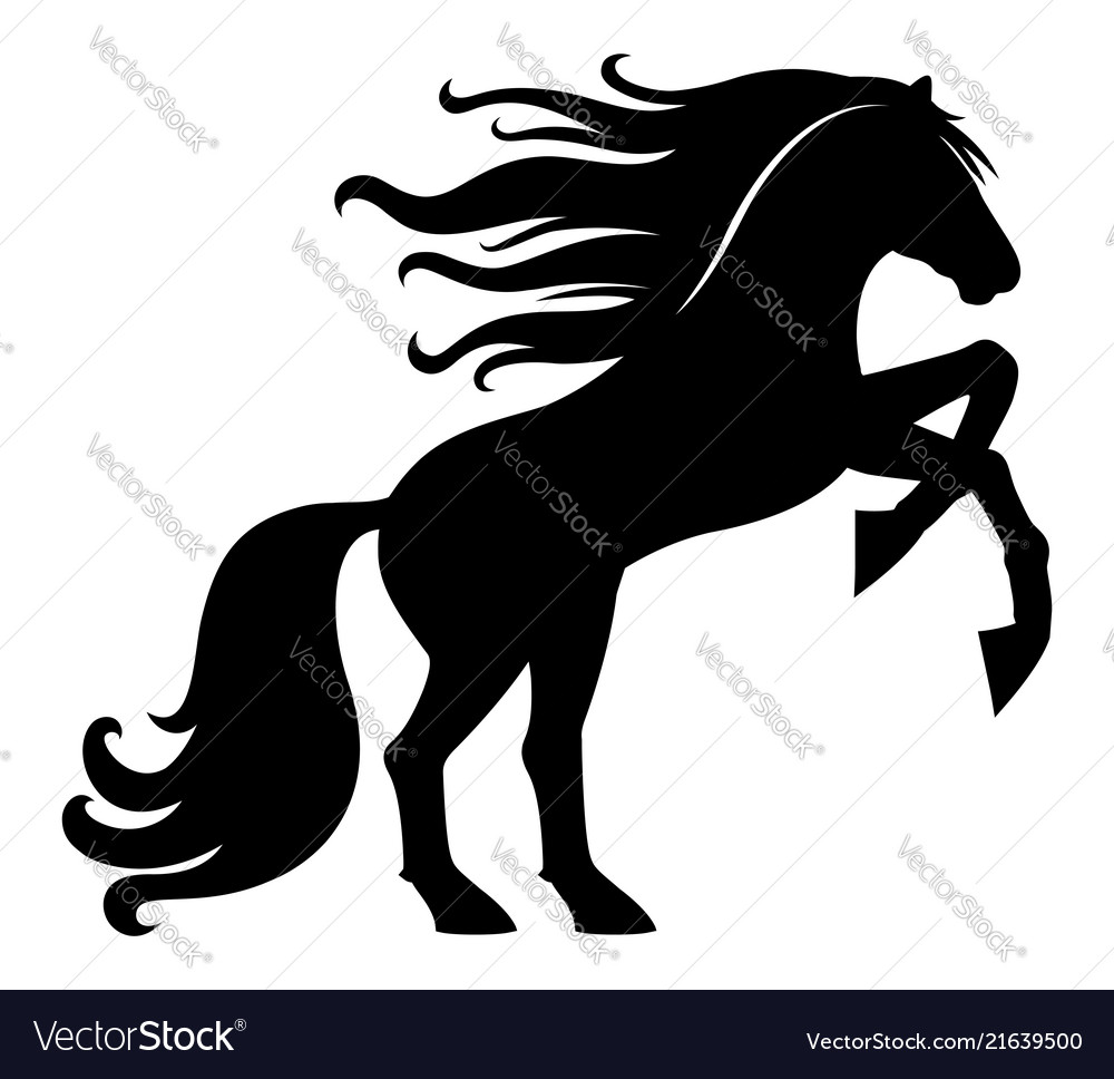 Black Horse Silhouette
