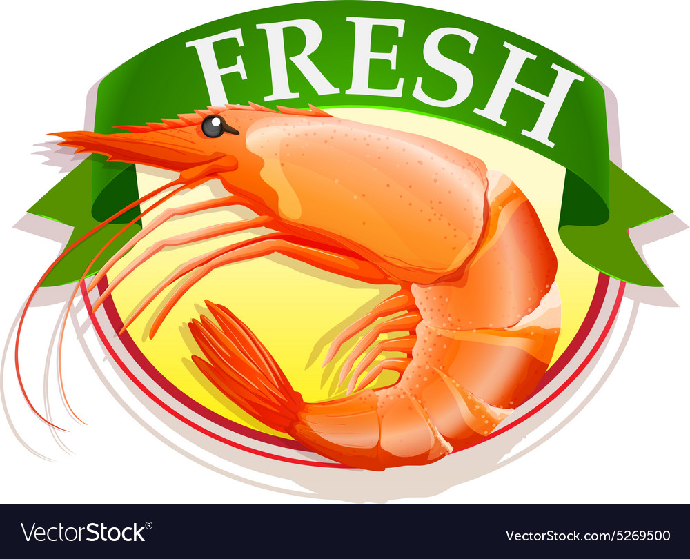 Fresh shrimp with text Royalty Free Vector Image