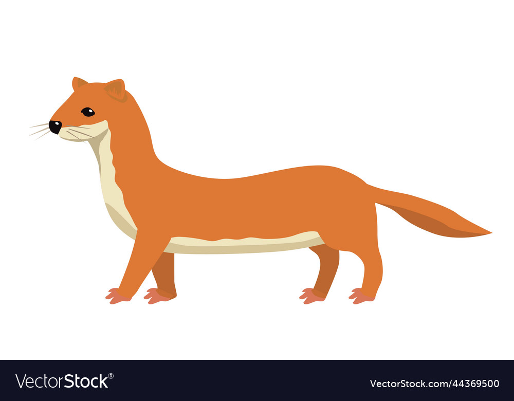 Orange weasel icon Royalty Free Vector Image - VectorStock