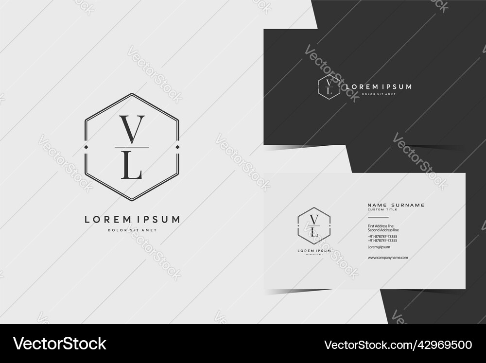 Simple hexagon vl monogram logo icon modern Vector Image