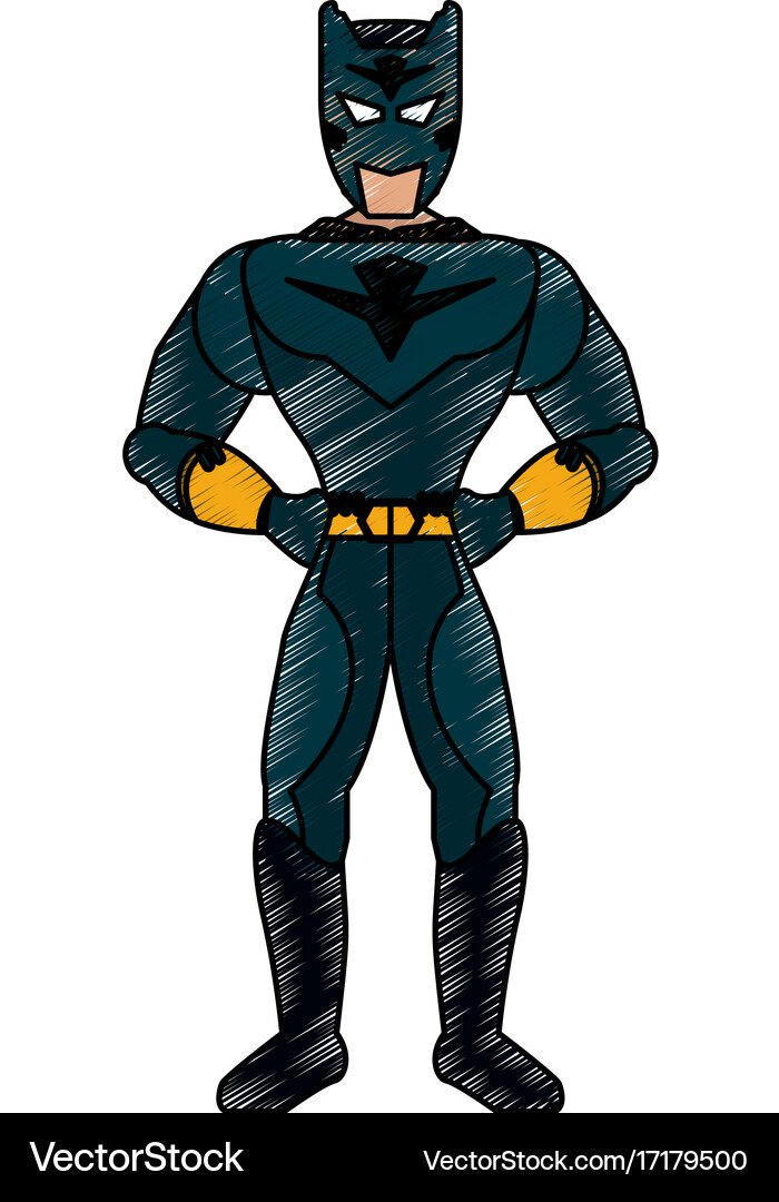Superhero character cartoon Royalty Free Vector Image