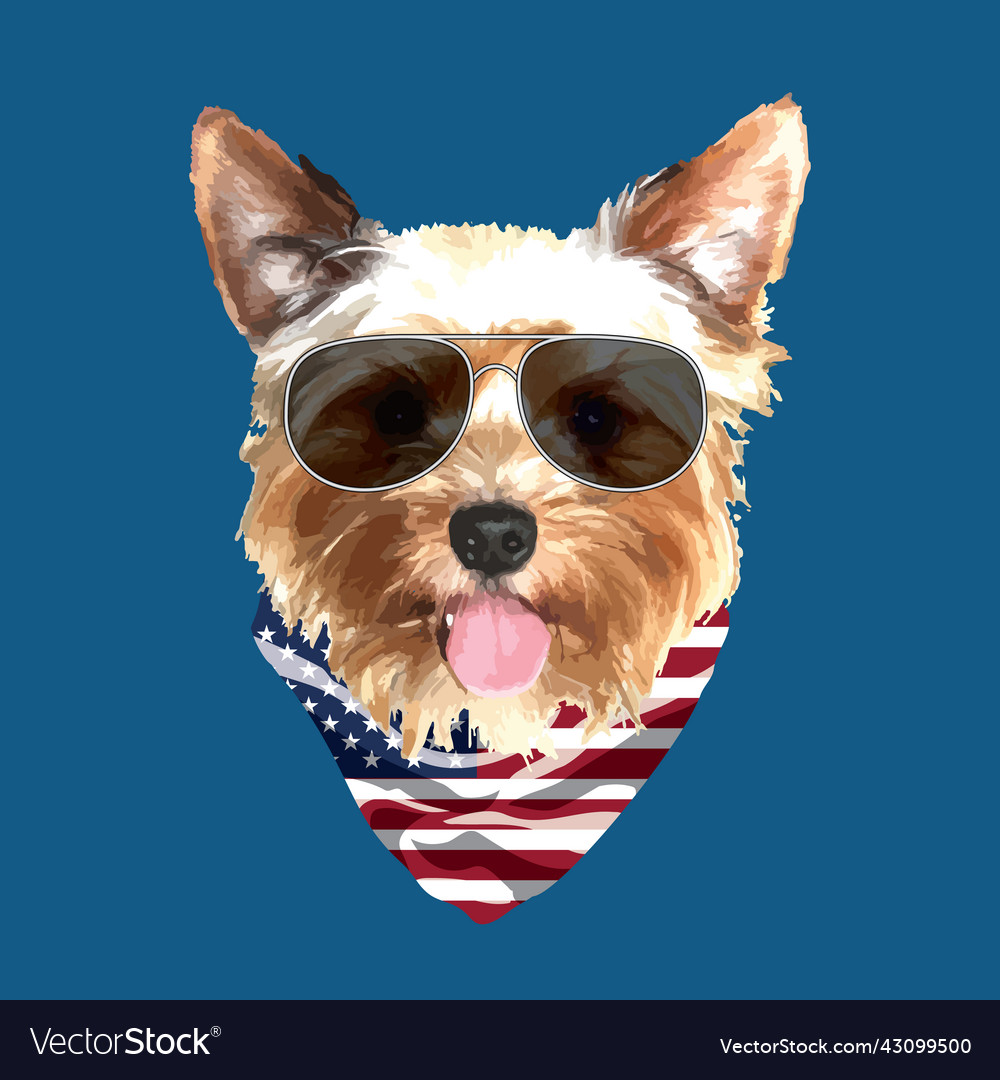 Yorkshire terrier portrait cute cool dog