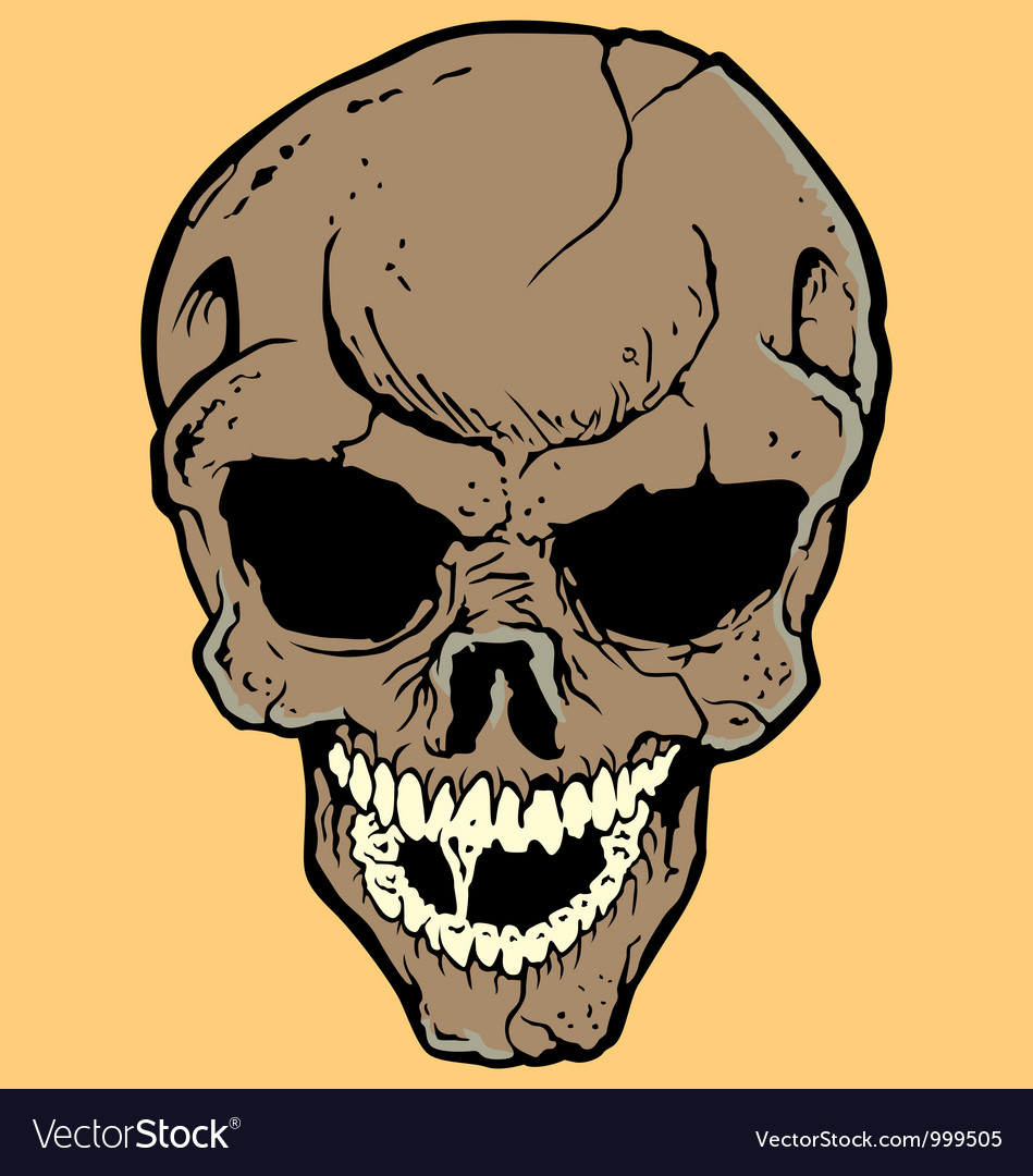 Skull
